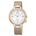 Citizen Eco-Drive Analog Quart