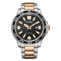 Citizen Eco-Drive Analog Quartz