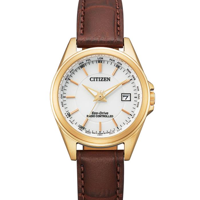 Citizen Eco-Drive Analog Quartz