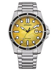 Citizen Eco-Drive Analog Quartz